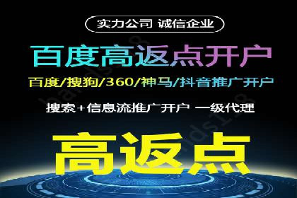 SEM运营公司经典案例点评